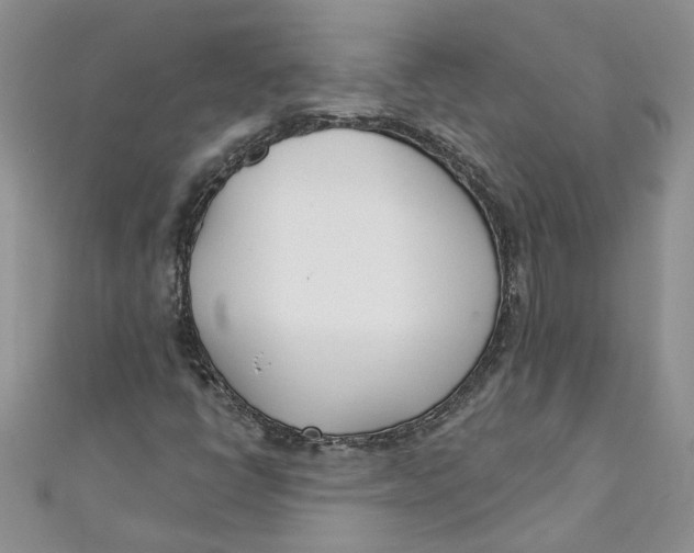 X0000110901398200907091406
