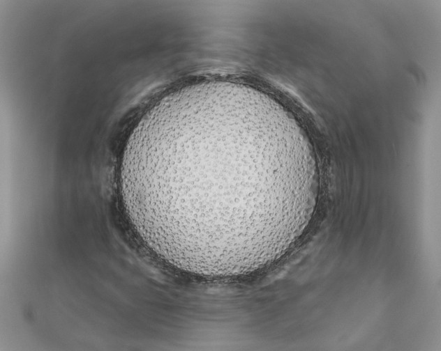 X0000110901399200907091406