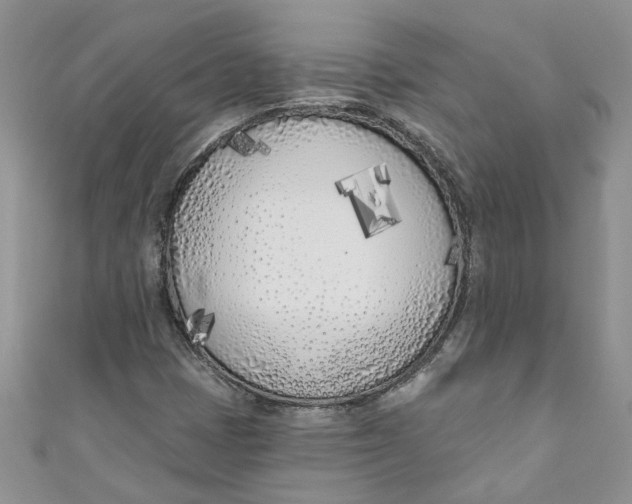 X0000110901401200907091406