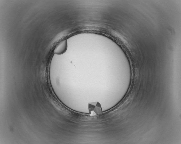 X0000110901403200907091406