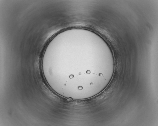 X0000110901404200907091406