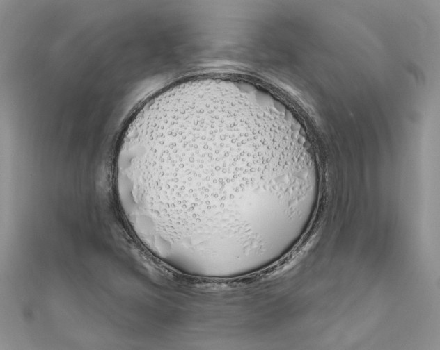 X0000110901405200907091406