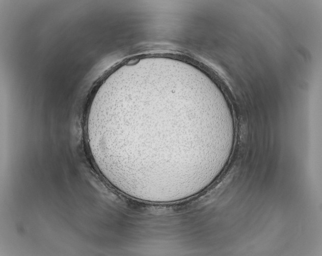 X0000110901407200907091406