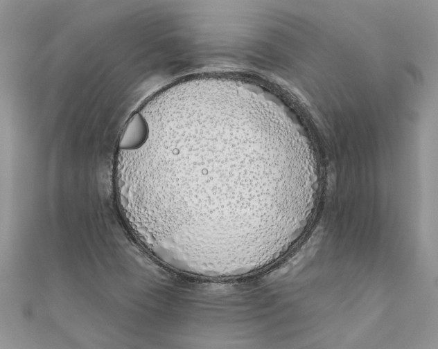 X0000110901409200907091406