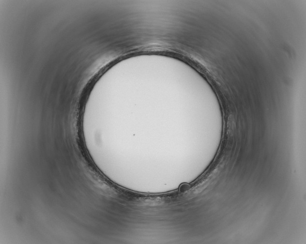 X0000110901410200907091406