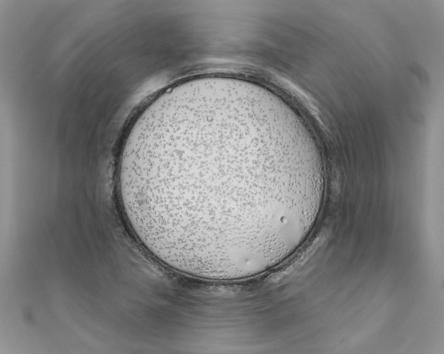 X0000110901411200907091406