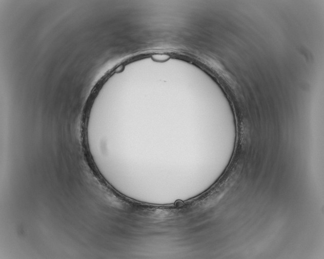 X0000110901412200907091406