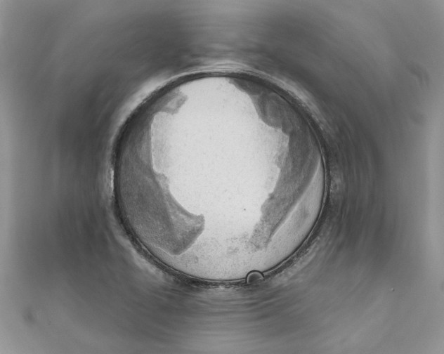 X0000110901414200907091406