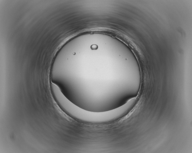 X0000110901417200907091406