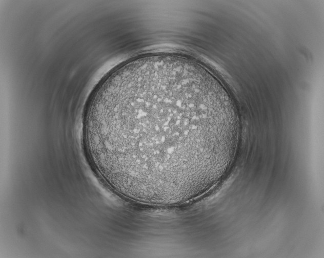 X0000110901418200907091406
