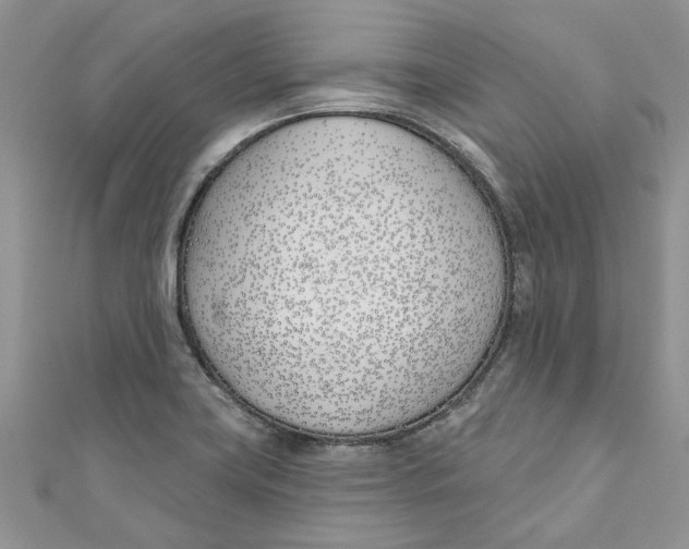 X0000110901419200907091406