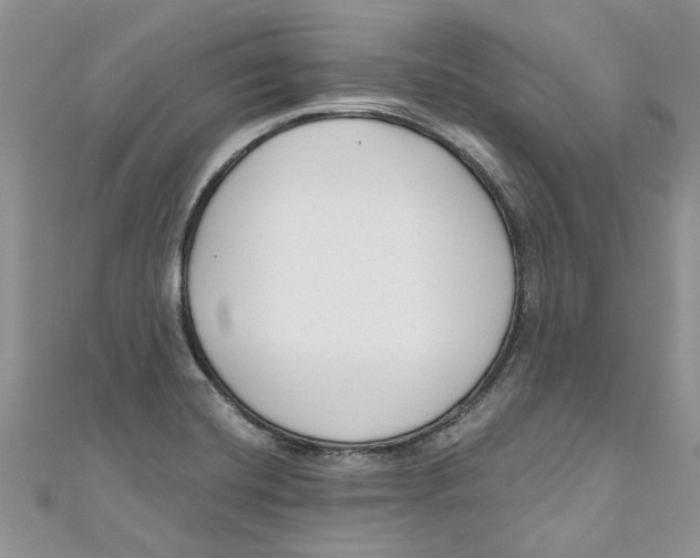X0000110901420200907091406