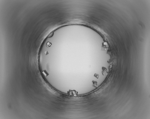X0000110901423200907091406