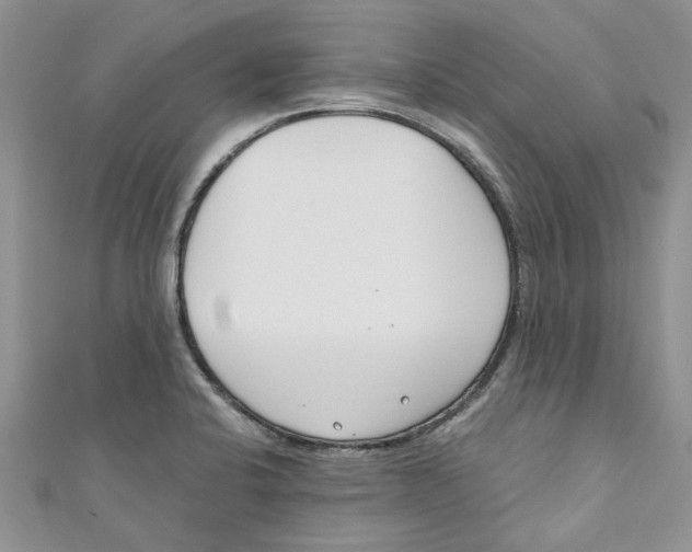 X0000110901424200907091406
