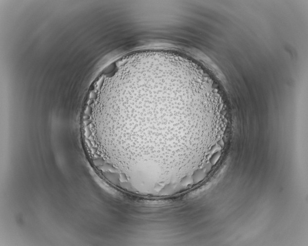 X0000110901425200907091406