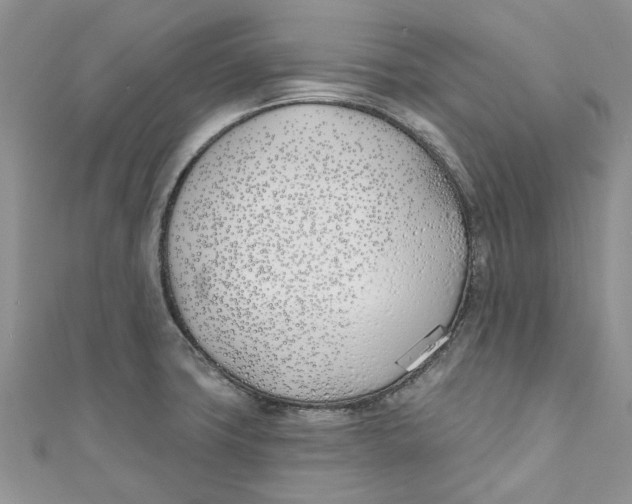 X0000110901427200907091406