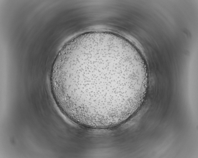 X0000110901429200907091406