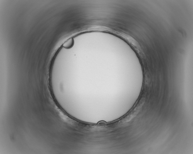 X0000110901430200907091406