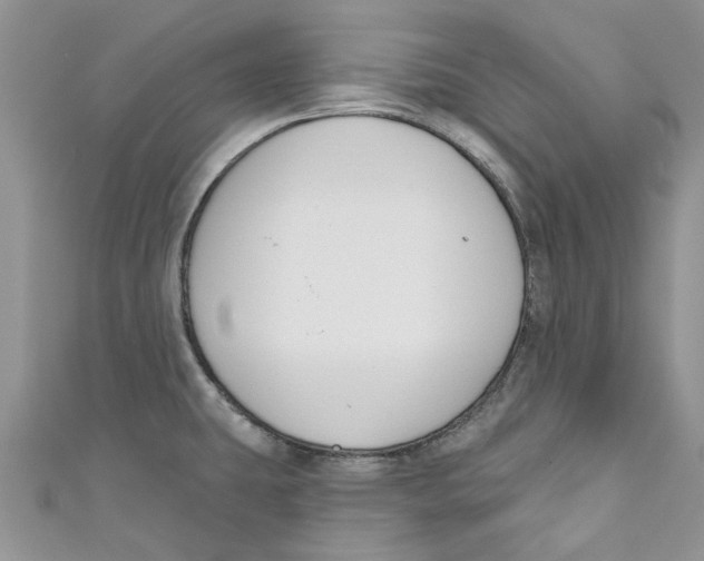 X0000110901431200907091406