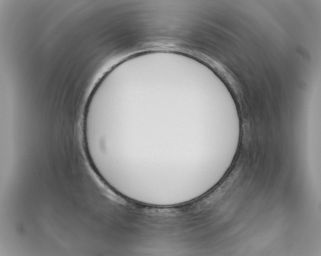 X0000110901432200907091406