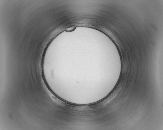 X0000110901434200907091406