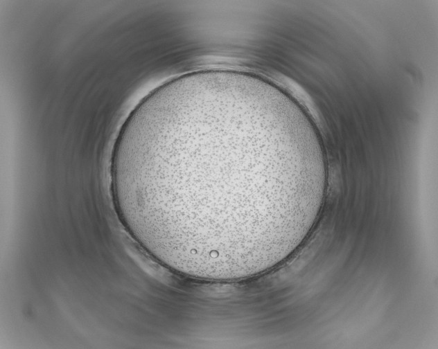 X0000110901435200907091406