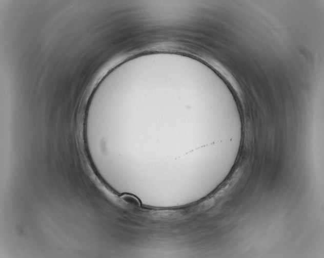 X0000110901437200907091406