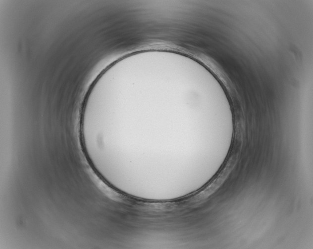 X0000110901438200907091406