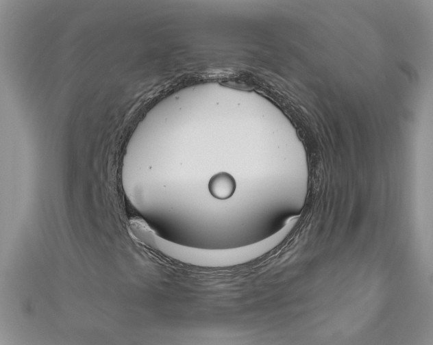 X0000110901441200907091406