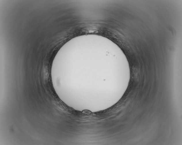 X0000110901442200907091406