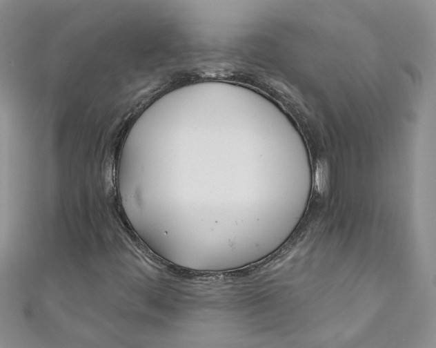 X0000110901444200907091406