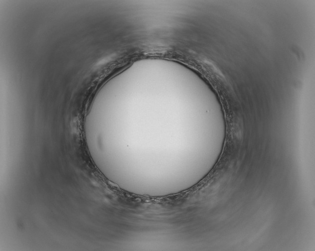 X0000110901445200907091406