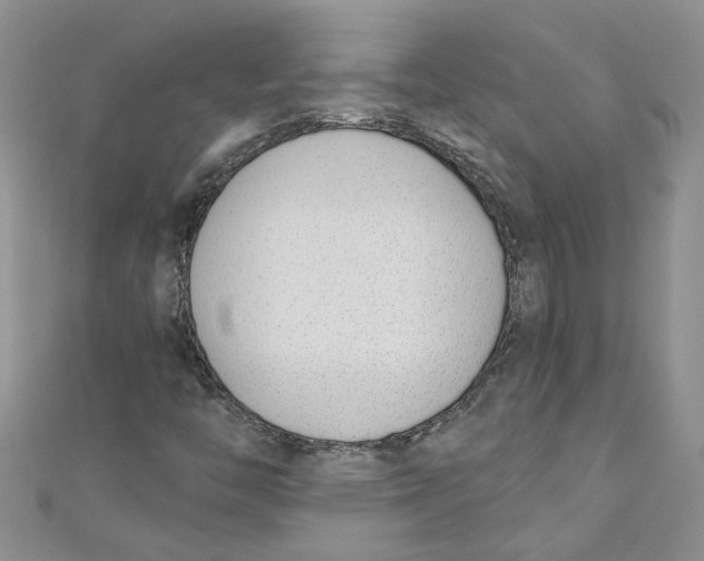 X0000110901446200907091406