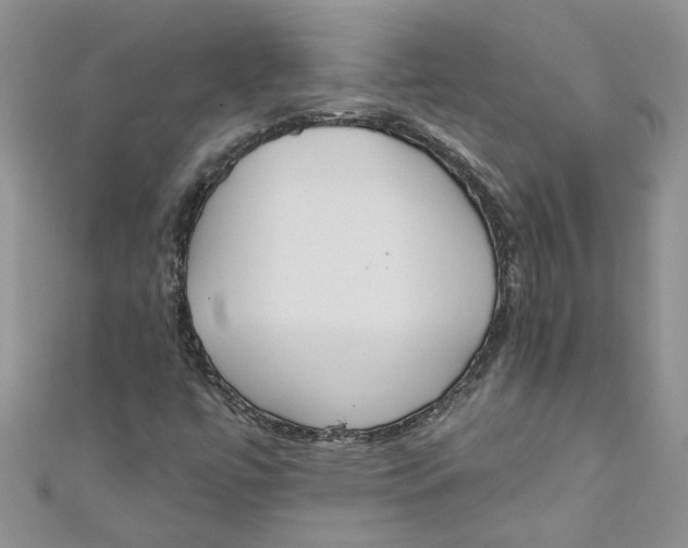 X0000110901447200907091406