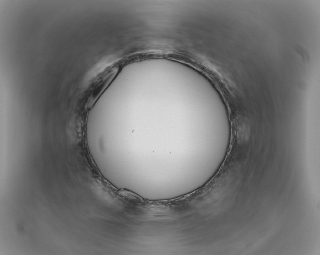 X0000110901448200907091406