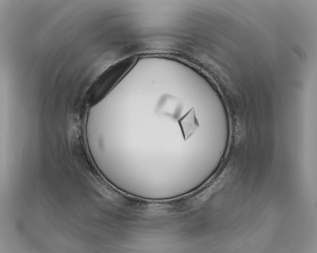 X0000110901449200907091406