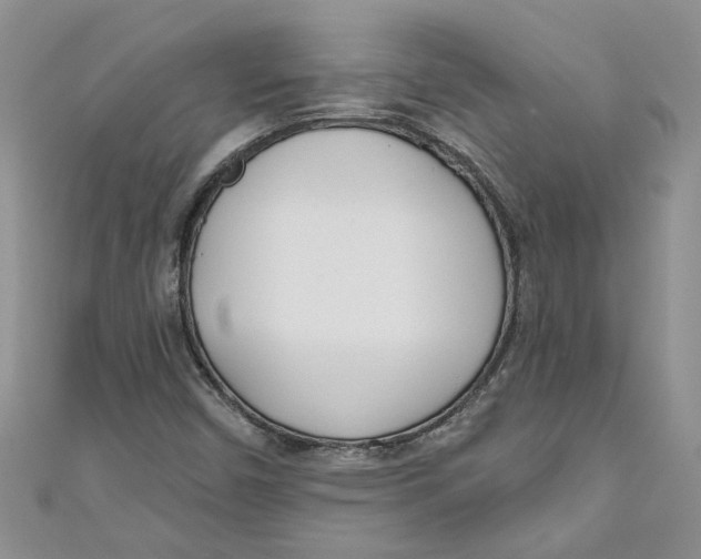 X0000110901450200907091406