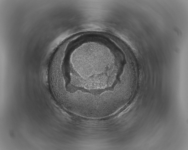 X0000110901455200907091405