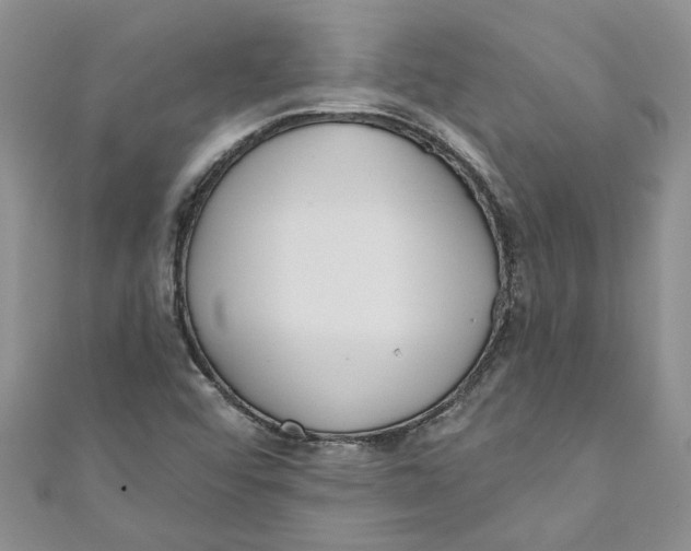 X0000110901456200907091405
