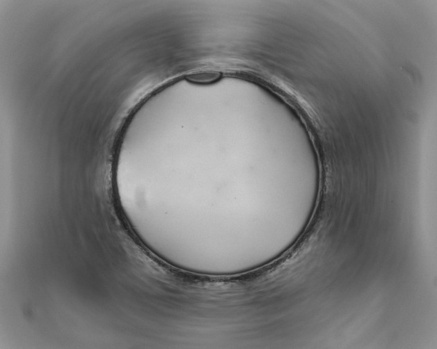 X0000110901459200907091405