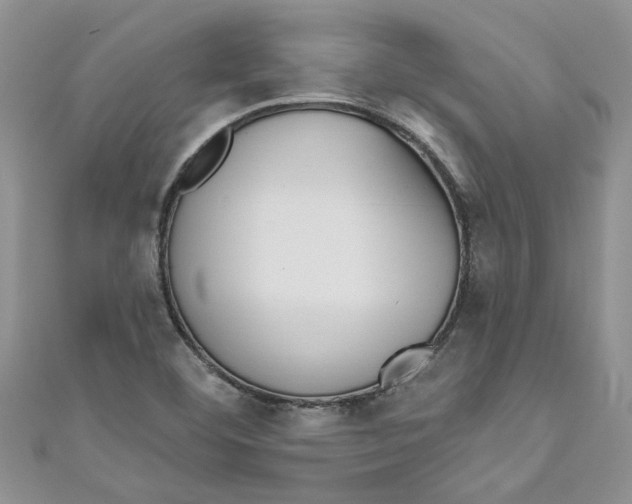 X0000110901460200907091405