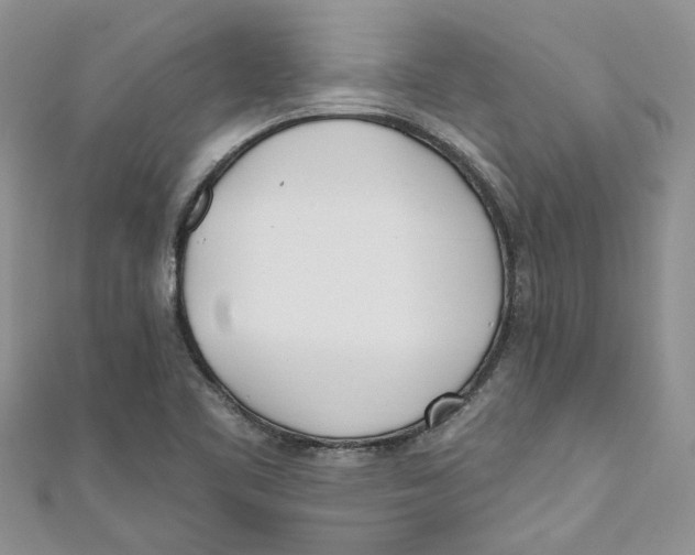 X0000110901461200907091405