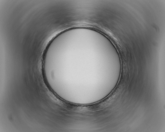 X0000110901463200907091405