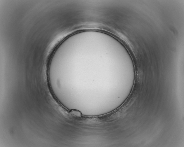 X0000110901464200907091405