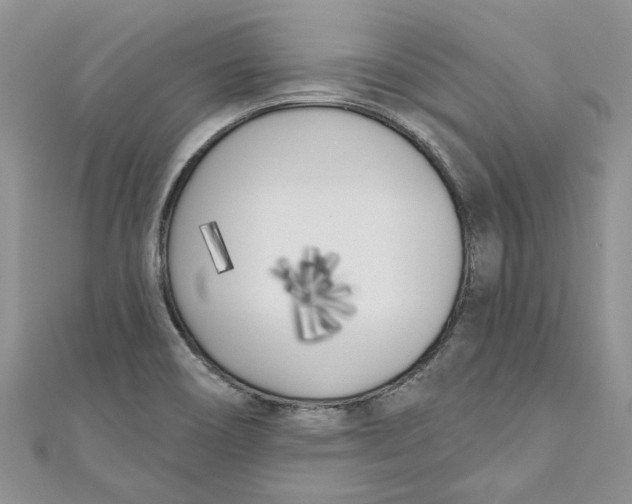 X0000110901466200907091405