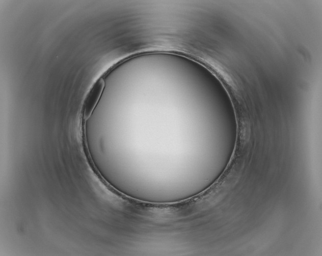 X0000110901468200907091405