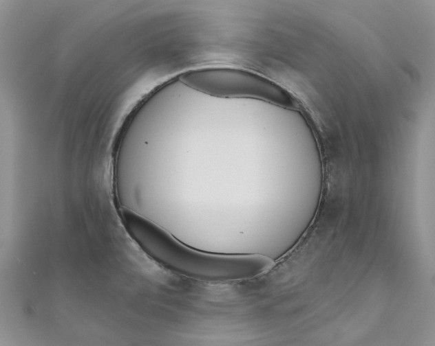 X0000110901472200907091405
