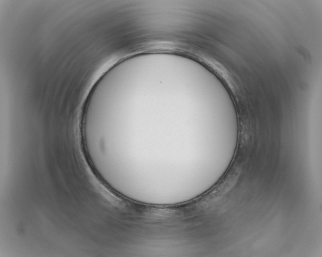 X0000110901475200907091405