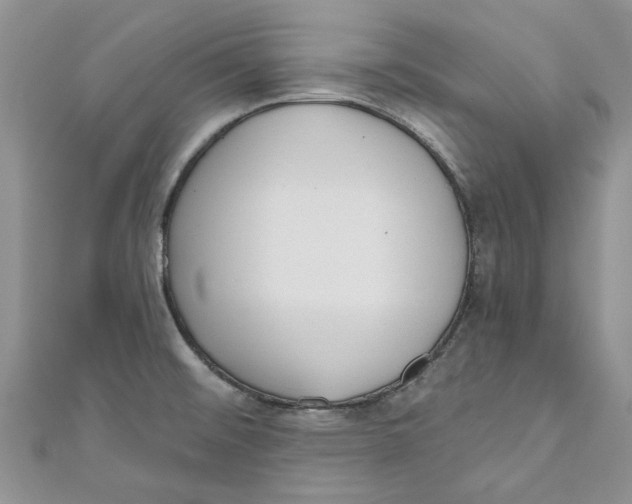 X0000110901476200907091405