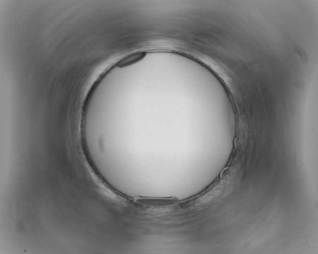 X0000110901477200907091405